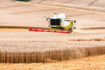 Fototapeta premium Ernte