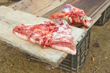 Pieces of pig head