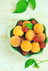 apricot fruits