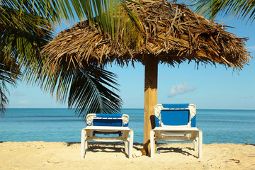 Tropical Beach