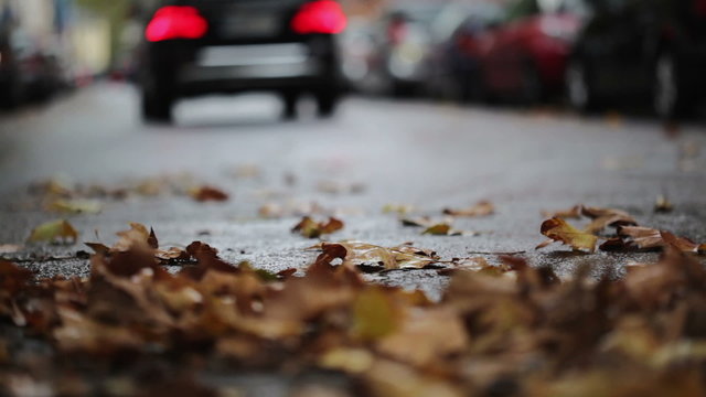 Leaves on the street - autumnal urban scene, traffic and cars