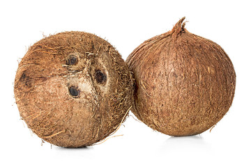 Coconut isolated on white background