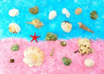 Colored seashells on a pink and blue sea salt