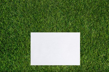 White sheet of paper lying on the grass