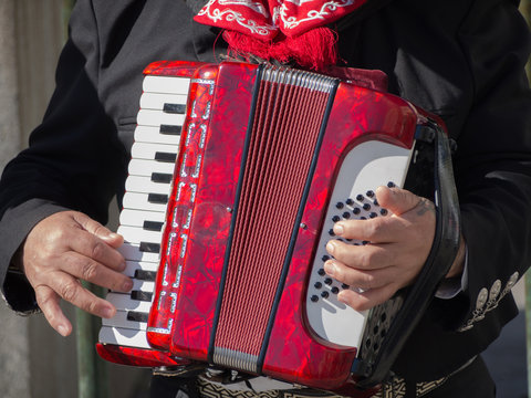 Playing the Accordion