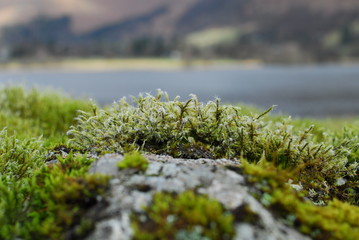 포토시리즈(해외여행)