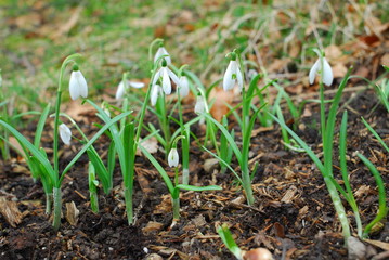포토시리즈(해외여행)
