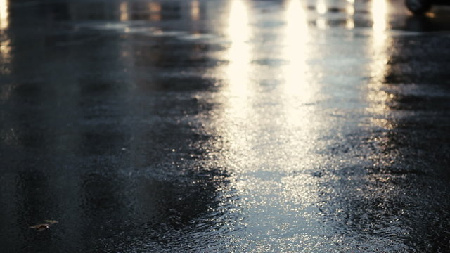 Wet asphalt, cars and light reflections