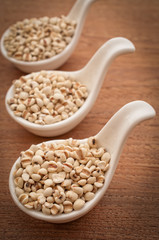 Job's Tears on wooden background