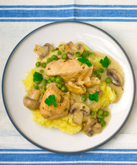 fricassee from chicken with vegetables