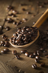 Organic Dry Roasted Coffee Beans