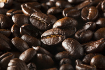 Organic Dry Roasted Coffee Beans