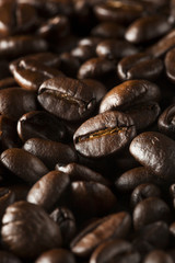 Organic Dry Roasted Coffee Beans