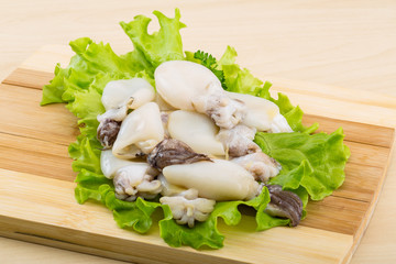 Raw cuttlefish
