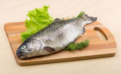Raw fresh trout