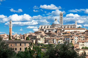 Fototapeta premium View of medieval old town of Siena, Italy