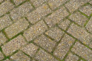 포토시리즈(해외여행)