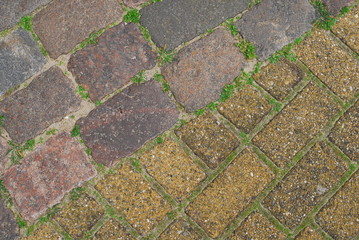 포토시리즈(해외여행)