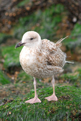 Obraz premium 포토시리즈(해외여행)