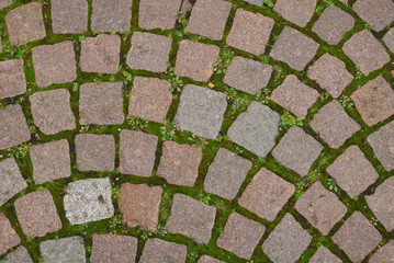 포토시리즈(해외여행)