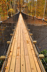 Swinging bridge over Pigeon River in fall.