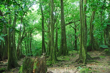 포토시리즈(해외여행)