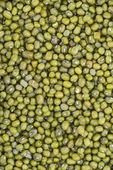 Mung Beans Background