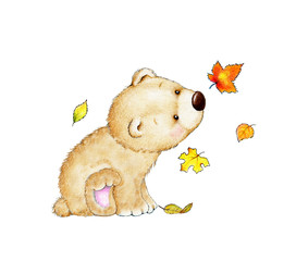 Cute Teddy bear - 79202294