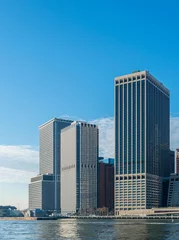 Foto op Plexiglas Panorama of downtown Manhattan © Elnur