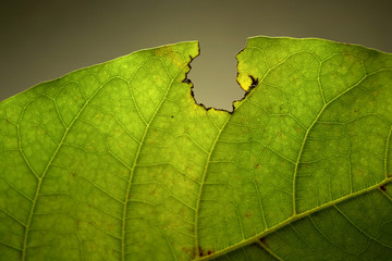 포토시리즈(해외여행)