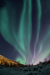 Aurora Borealis timelapse in Norway - obrazy, fototapety, plakaty
