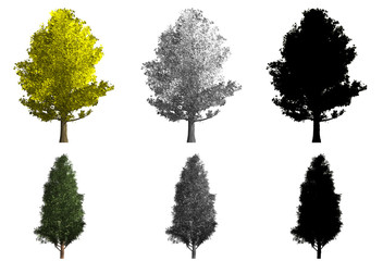 Fototapeta premium rendering of two different kinds of trees