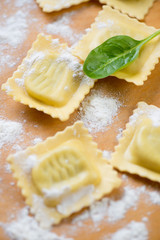 Close-up of ravioli with ricotta and spinach, selective focus