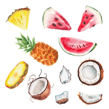 watercolor summer fruits set