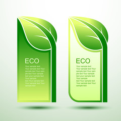 Green layout design template eco concept vector illustration