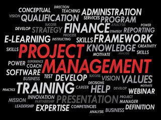 Project Management word cloud, business concept