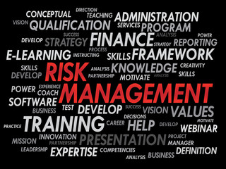 Risk Management word cloud, business concept