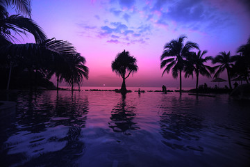 palm sea sunset evening landscape journey