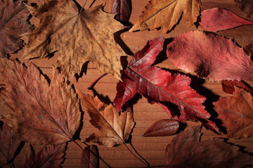 background dry yellow leaves on a wooden background