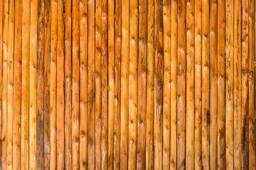 pattern detail of decorative wood texture