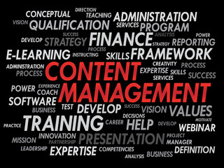 Content Management word cloud, business concept