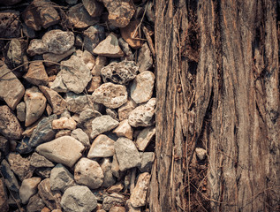 Close up old wood that support the railway