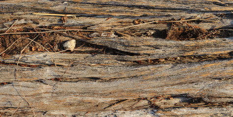 Obraz premium Close up old wood that support the railway