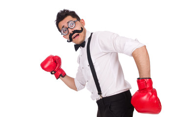 Funny boxer isolated on the white background