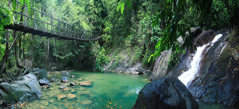 rope bridge over a river in the jungle