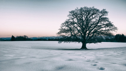 Wintereindrücke