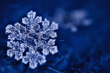 snowflake crystal natural snow