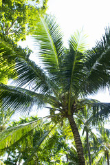 Fototapeta premium 포토시리즈