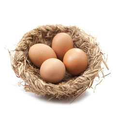 nid d'oeufs de pâques