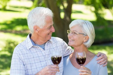 Happy senior couple drinking at the park